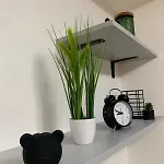 아파트 Your 8 코시체